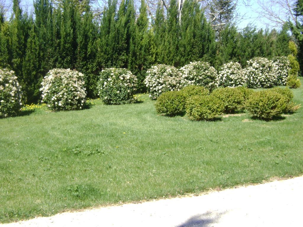 Bastide Des Lauves Villa Екс ан Прованс Екстериор снимка